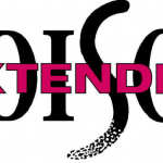 Extended DISC Logo